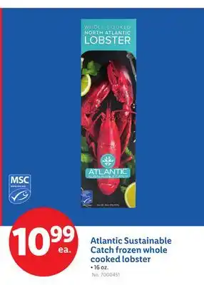 Lidl Atlantic Sustainable Catch frozen whole cooked lobster offer