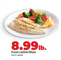 Hy-Vee Fresh catfish fillets offer