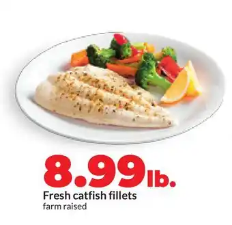 Hy-Vee Fresh catfish fillets offer