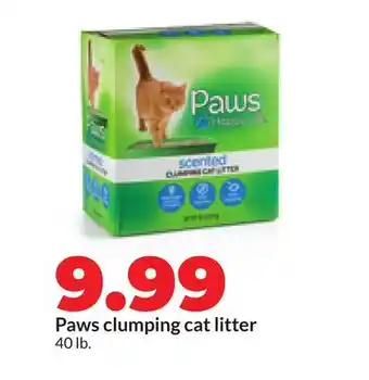 Hy-Vee Paws clumping cat litter offer