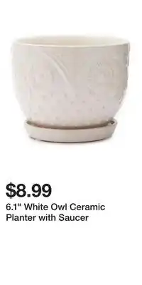 Big Lots 6.1 White Owl Ceramic Planter with Saucer offer