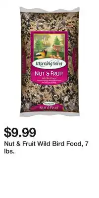 Big Lots Nut & Fruit Wild Bird Food, 7 lbs offer