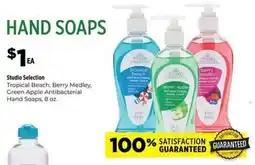 Dollar General Studio Selection Tropical Beach or Berry Medley or Green Apple Antibacterial offer