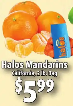 Gristedes Halos Mandarins offer