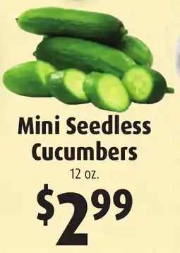 Gristedes Mini Seedless Cucumbers offer