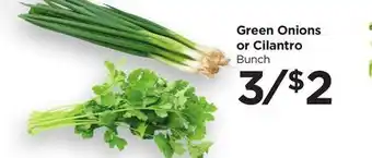 Food 4 Less Green Onions or Cilantro offer