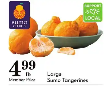 Pavilions Large Sumo Tangerines offer