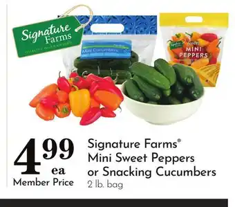 Pavilions Signature Farms Mini Sweet Peppers or Snacking Cucumbers offer