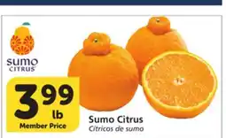 Vons Sumo Citrus offer