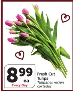 Vons Fresh Cut Tulips offer