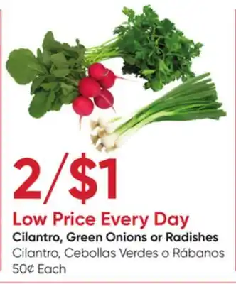 Stater Bros Cilantro, Green Onions or Radishes offer