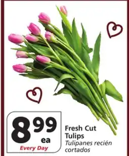 Albertsons Fresh Cut Tulips offer