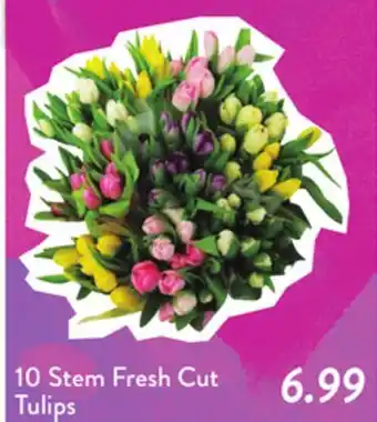 Fresh Thyme 10 Stem Fresh Cut Tulips offer