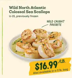 Sprouts Farmers Market Wild North Atlantic Colossal Sea Scallops offer