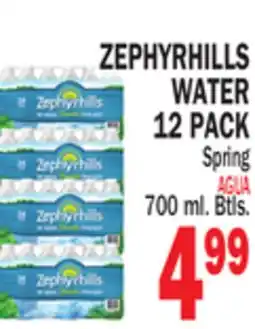 Bravo Supermarkets ZEPHYRHILLS WATER 12 PACK offer