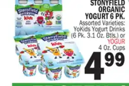 Bravo Supermarkets STONYFIELD ORGANIC YOGURT 6 PK offer