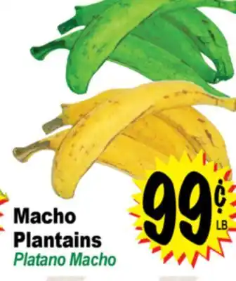 Superior Grocers Macho Plantains offer