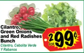 Superior Grocers Cilantro, Green Onions and Red Radishes Bunch offer