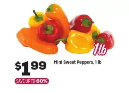 Grocery Outlet Mini Sweet Peppers, 1 lb offer