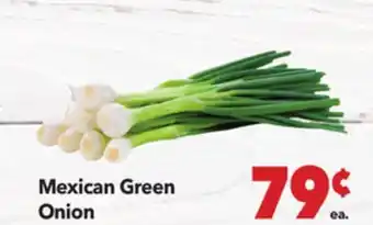 Vallarta Supermarkets Mexican Green Onion offer