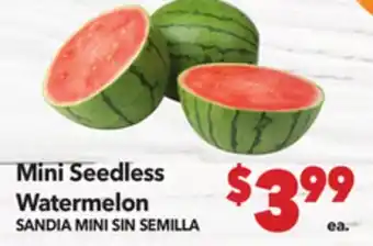 Vallarta Supermarkets Mini Seedless Watermelon/SANDIA MINI SIN SEMILLA offer