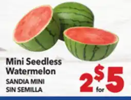 Vallarta Supermarkets Mini Seedless Watermelon/SANDIA MINI SIN SEMILLA offer