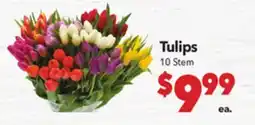 Vallarta Supermarkets Tulips offer