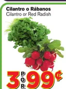 El Super Fresh Cilantro or Red Radish offer