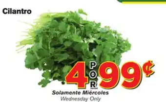 El Super Fresh Cilantro offer