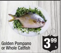 Super King Markets Golden Pompano or Whole Catfish offer