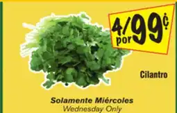 El Super Cilantro offer