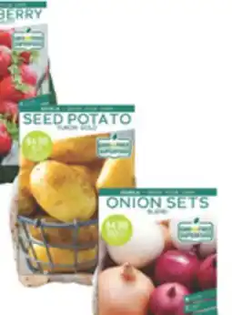 The Home Depot Dormant Packaged Edibles offer