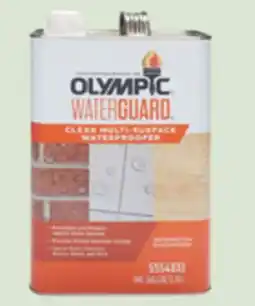 The Home Depot Waterguard Multi-Surface Clear Waterproofing Sealant offer