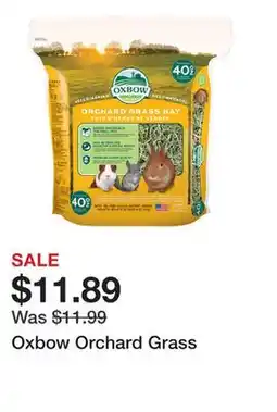 Petsmart Oxbow Orchard Grass offer