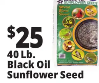 Ocean State Job Lot Black Oil Sunflower Seeds 40 lbs offer