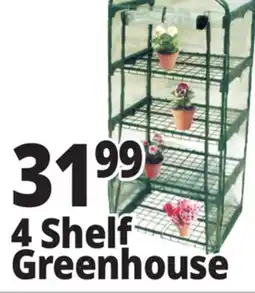 Ocean State Job Lot 4 Shelf Greenhouse offer