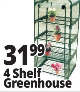 Ocean State Job Lot 4 Shelf Greenhouse offer