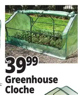 Ocean State Job Lot Greenhouse Cloche offer