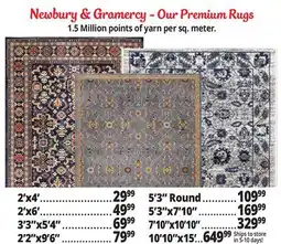 Ocean State Job Lot Newbury & Gramercy - Our Premium Rug offer