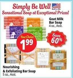 Ocean State Job Lot Simply Be Well Soaps offer