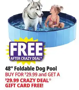 Ocean State Job Lot 48 Foldable Dog Pool offer