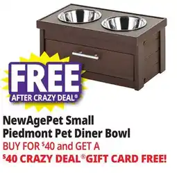 Ocean State Job Lot NewAgePet Small Piedmont Pet Diner Bowl offer