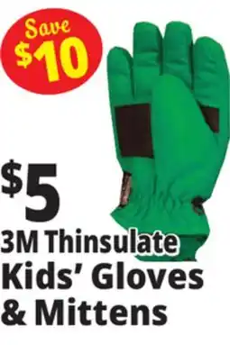 Ocean State Job Lot 3M Thinsulate Kids' Gloves & Mittens offer