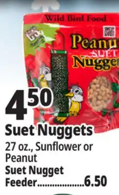 Ocean State Job Lot C&S Sunflower Suet Nuggets 27 oz offer