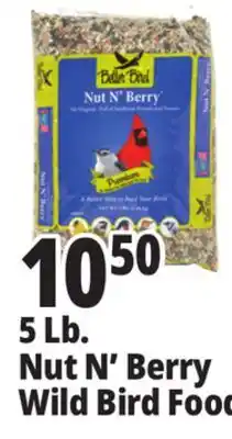 Ocean State Job Lot Better Bird Premium Nut N' Berry Bird Food 5 lbs offer