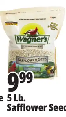 Ocean State Job Lot Wagner's Safflower Seed Deluxe Wild Bird Food offer