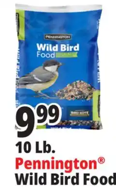 Ocean State Job Lot Pennington Wild Bird Food 10 lbs offer