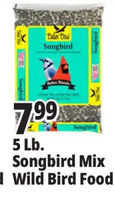 Ocean State Job Lot Better Bird Songbird Better Blends Food 5 lbs offer