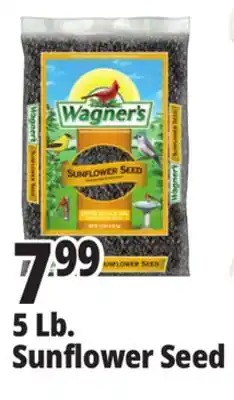 Ocean State Job Lot Wagner's Black Oil Sunflower Seed Wild Bird Food 5 lbs offer