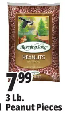 Ocean State Job Lot Morning Song Wildlife Food Peanuts 3 lbs offer